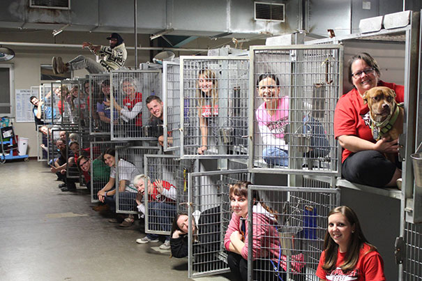 The Kansas City Missouri Animal Shelter Is Celebrating Empty Kennels Thanks To A Record-Setting Weekend