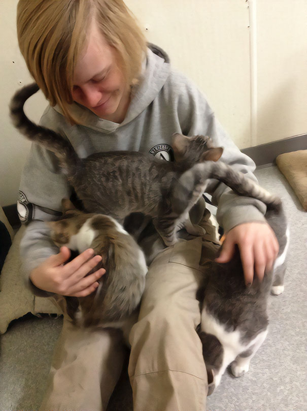 I Volunteered At An Animal Shelter Yesterday. Two Words: Kitten Socializing