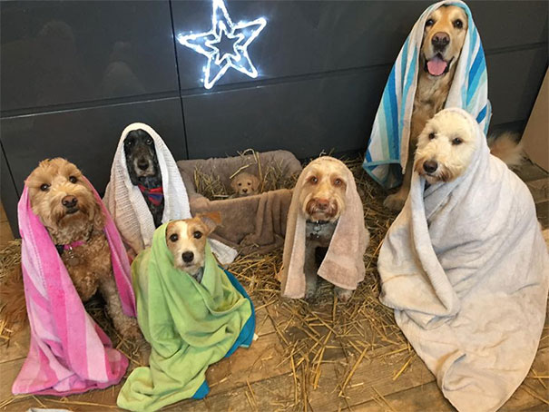 Busy Morning, Practising Our Nativity Play At The Shelter