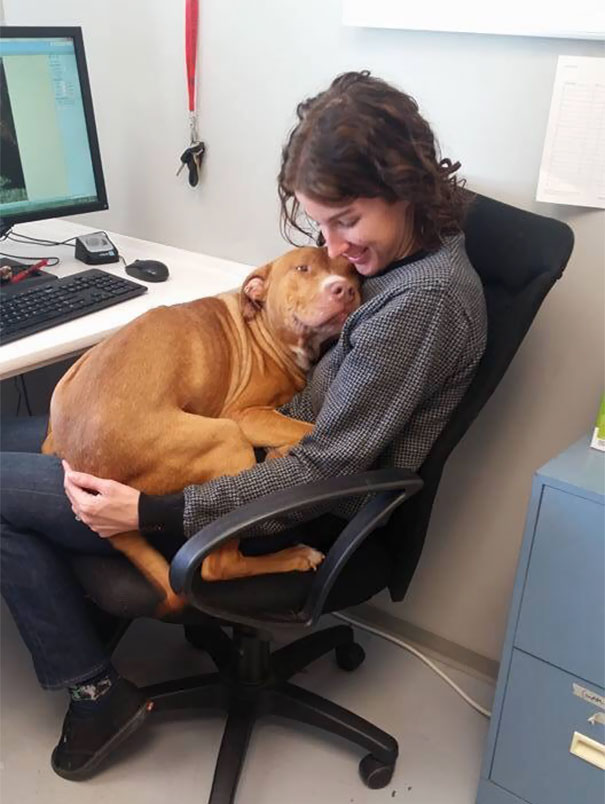 My Local Humane Society Has A Tough Time Getting Any Work Done Sometimes