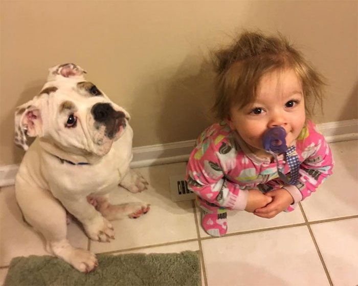 Hey Pandas, Share Photos Of Your Kids And Dogs Being Best Friends