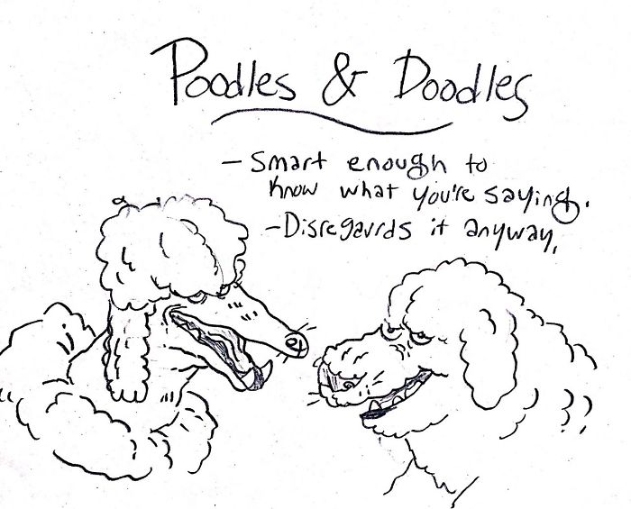 Dog-Breeds-Traits-Guide-Cartoons-Grace-Gogarty