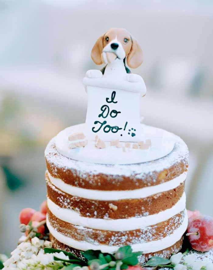 Couples Found A Way To Include Their Dogs Into Their Wedding And It's Absolutely Pawsome