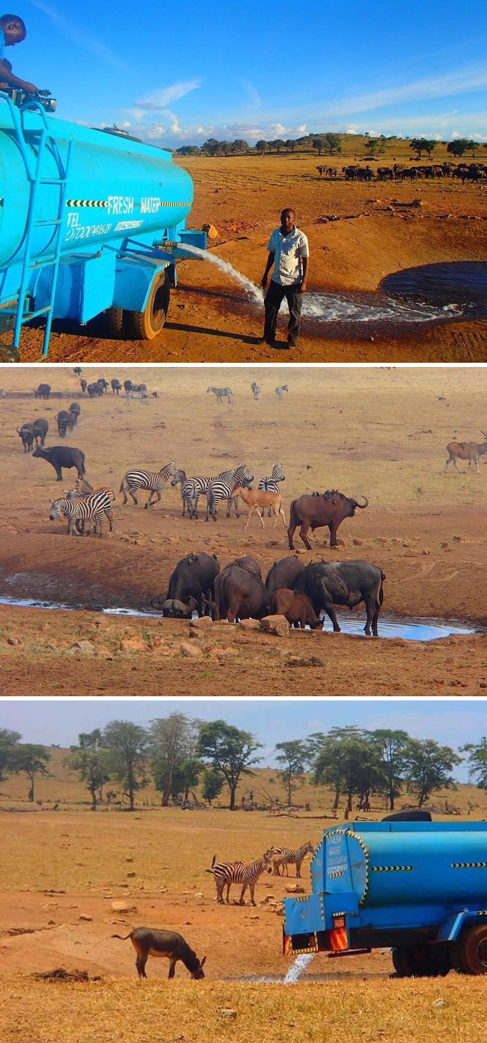 Every Day This Man Drives Hours In Drought To Provide Water To Thirsty Wild Animals In Kenya