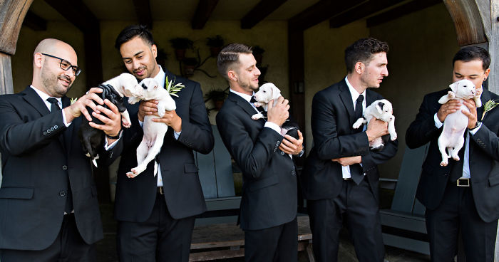 Instead Of Wedding Bouquets This Couple Had A Bunch Of Rescue Puppies And The Pics Turned Out Adorable