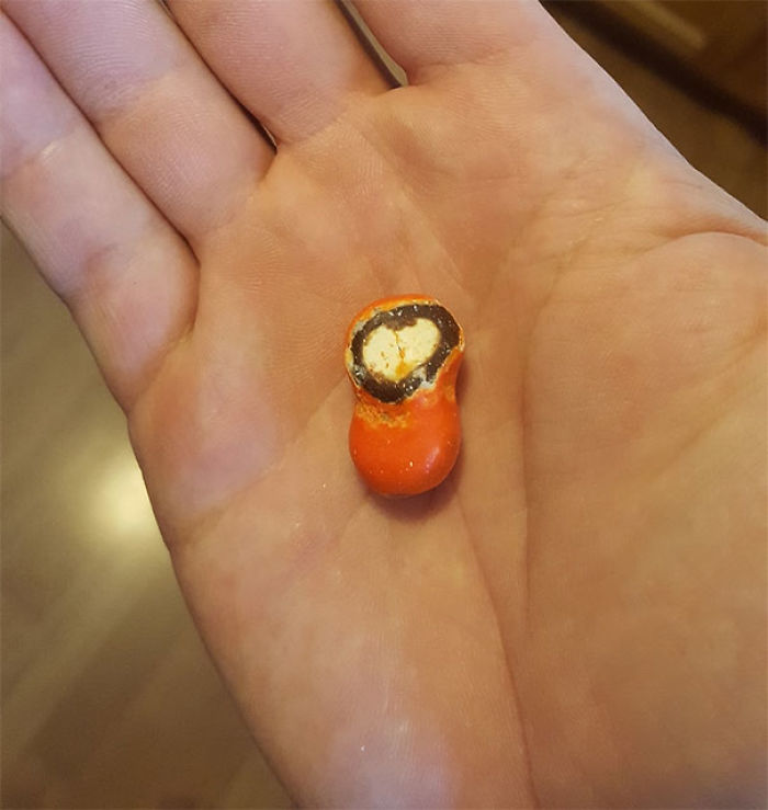 This Peanut M&m Looks Like Kenny From Southpark