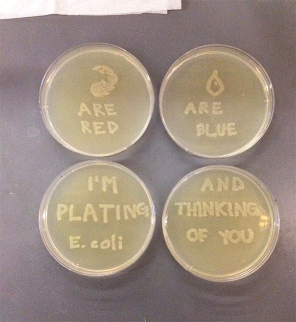 My Girlfriend Is A Microbiologist. She Just Sent Me This Valentine