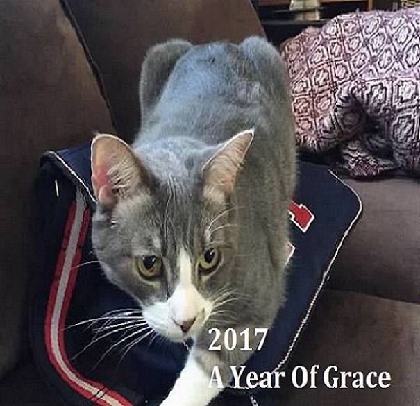 This Is A "Thank You" Calendar For My Friend Sarah, Who Helped Me Get Sober. This Is Her Cat, Grace.