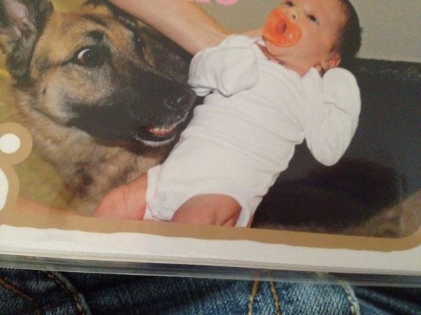 The Day Our German Shepherd Maya Met Our Newborn Daughter 6 Years Ago. Her Face Is Priceless.