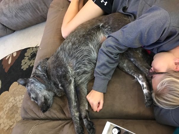 My Daughter And Our Blue Heeler, Starr
