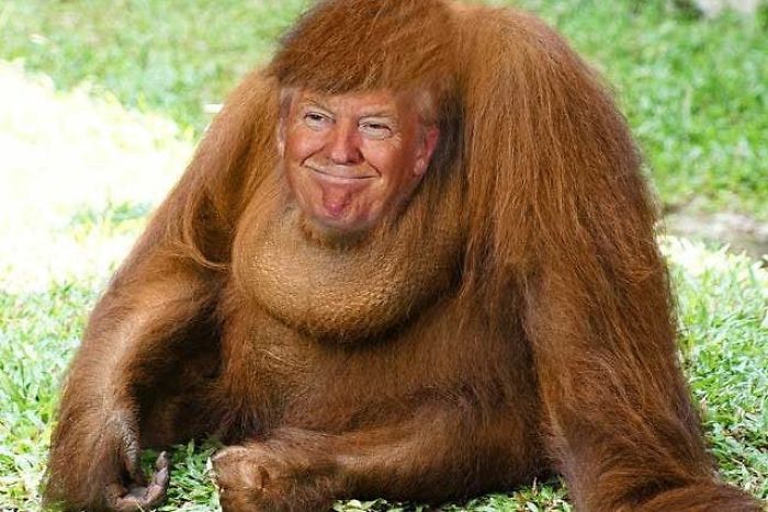 5 Photoshopped Animals You Won&rsquo;t Believe Exist