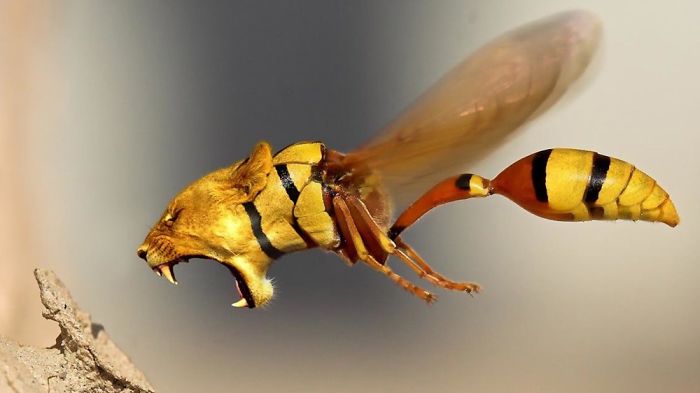 5 Photoshopped Animals You Won&rsquo;t Believe Exist