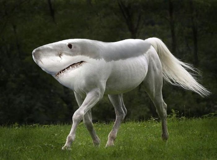 5 Photoshopped Animals You Won&rsquo;t Believe Exist