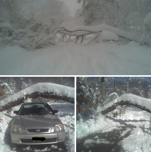 I Feared The Worst When This Tree Toppled Over In The Direction Of My Car. But When The Snow Was Cleared Away I Realized How Incredibly Lucky I Was