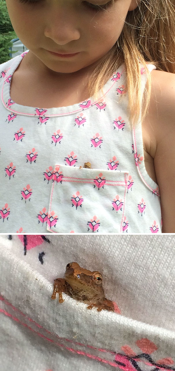 Found This Little Guy Hiding In My Daughters Shirt