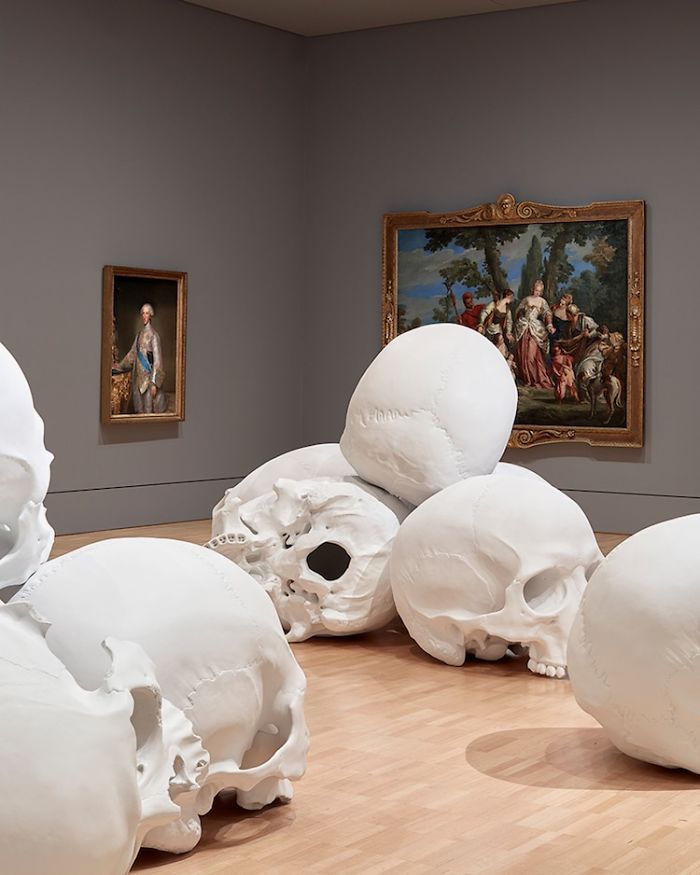 100 Of The Largest Skulls You Have Ever Seen Goes On Display In Australia