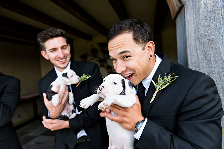 Instead Of Wedding Bouquets This Couple Had A Bunch Of Rescue Puppies And The Pics Turned Out Adorable