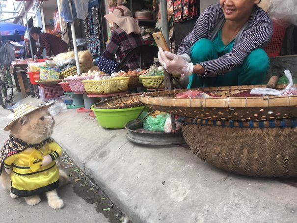 Meet The Cutest Fish Vendor In Vietnam Who Is Taking The Internet By Storm With His Adorable Pics