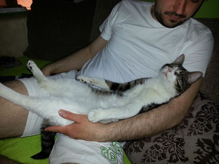 Our Blind Cat Likes To Relax With His Hooman