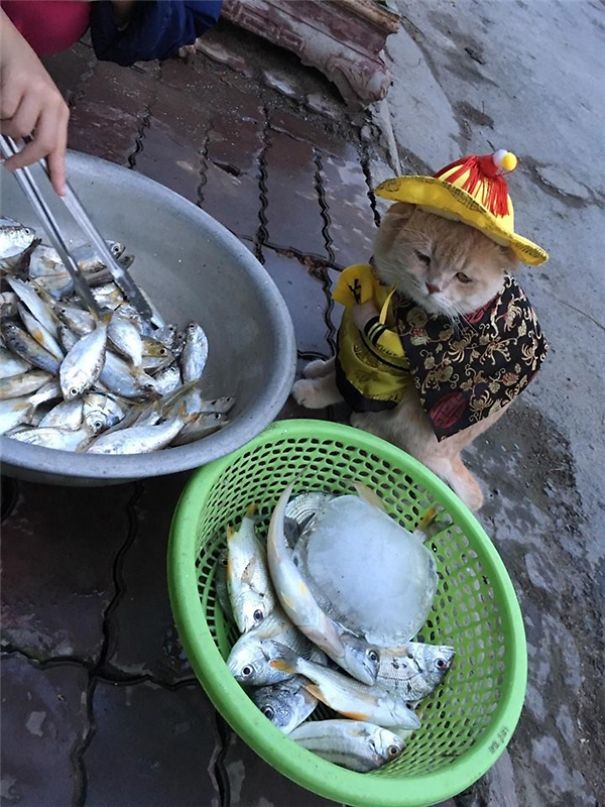 Meet The Cutest Fish Vendor In Vietnam Who Is Taking The Internet By Storm With His Adorable Pics