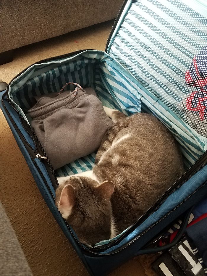 Ruger, I'm Trying To Pack. Yeah, So...