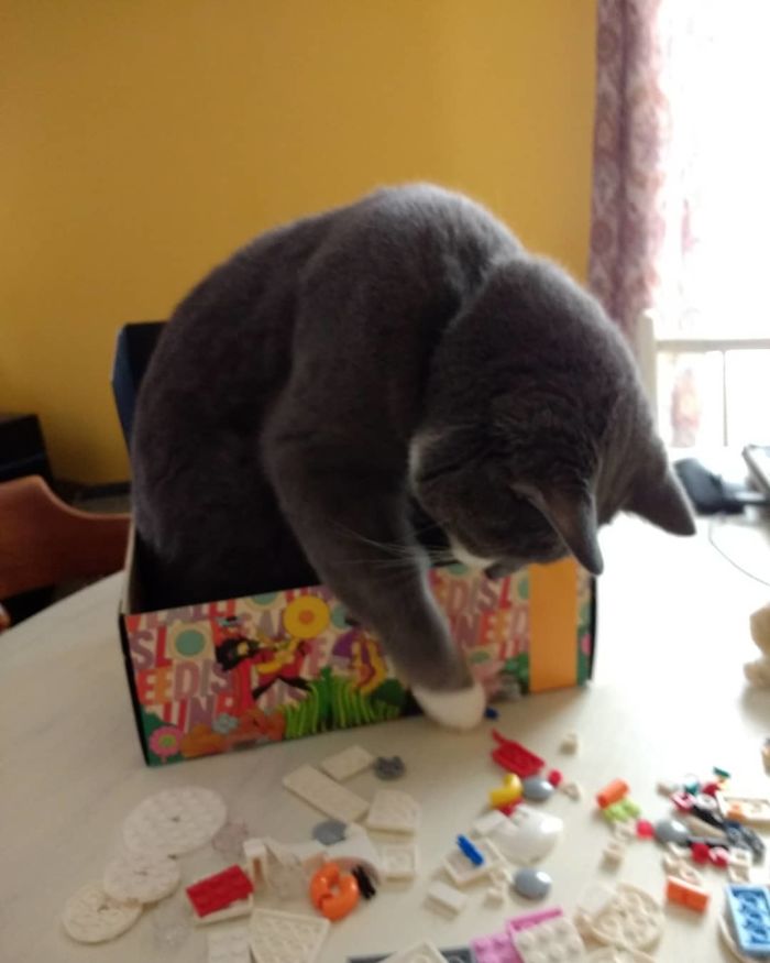 I'm A Very Good Lego-Building Helper....