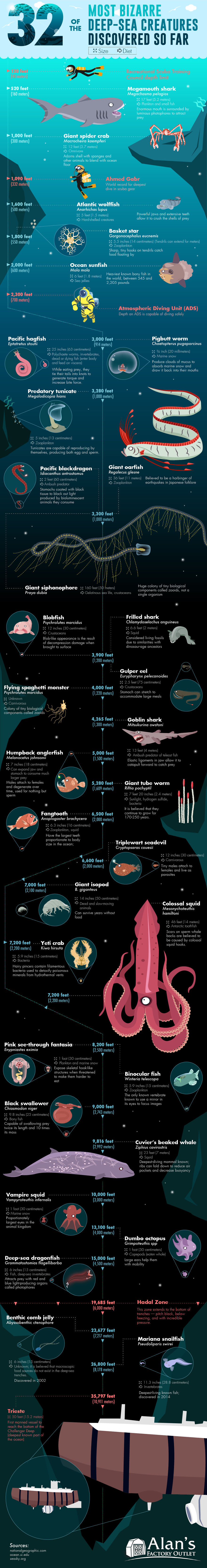 32 Bizarre Sea Creatures That Actually Exist