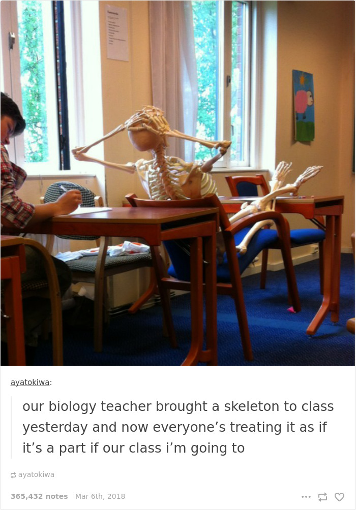 Our Biology Teacher Brought A Skeleton To Class
