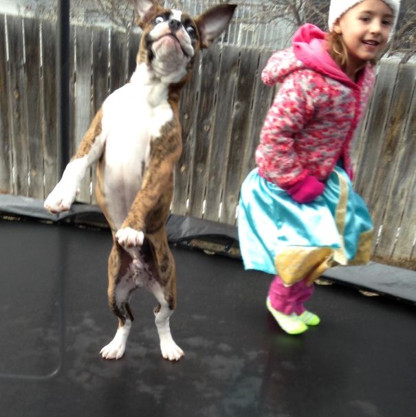 My Niece And Her Best Friend Got A Trampoline. I Think They Are Enjoying It