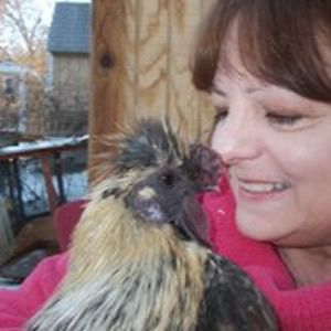 pamelaannseitz avatar