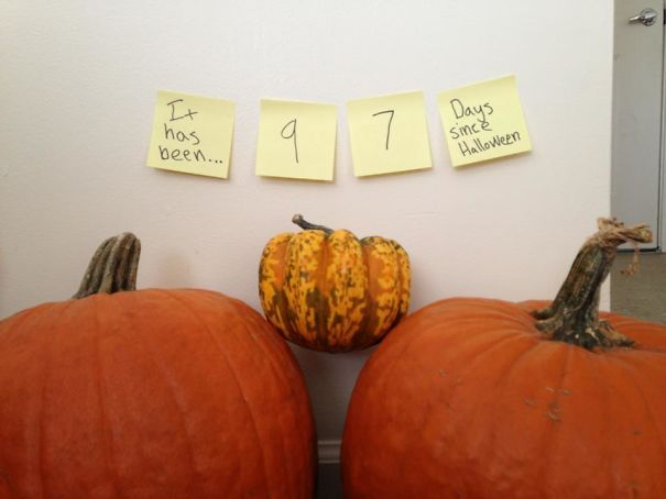 Roommate's Pumpkins. Delicately Drawing The Line Between Passive-Aggressive Post-It Notes And Reasonable Reminders