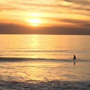 gameshowrecord avatar