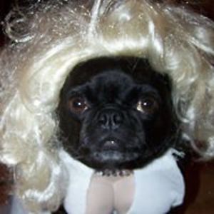 starbuck_plast avatar