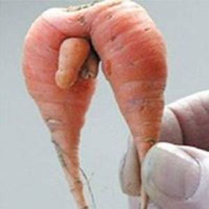 grahammcfarnaby avatar