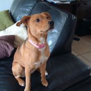 veronicawinter avatar