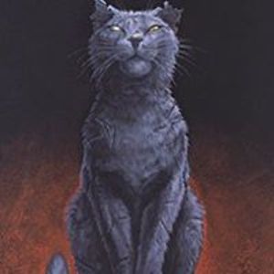 dreamfeathers avatar