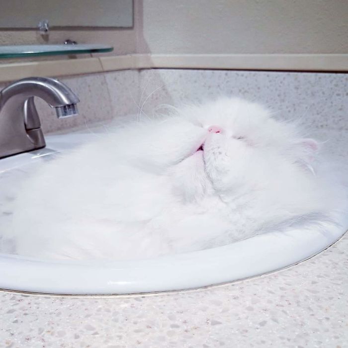 My Sink Is Clogged