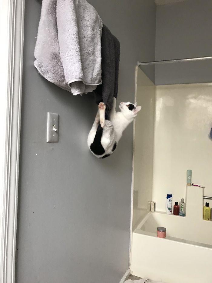 She Doesn’t Let Us Hang Our Towels