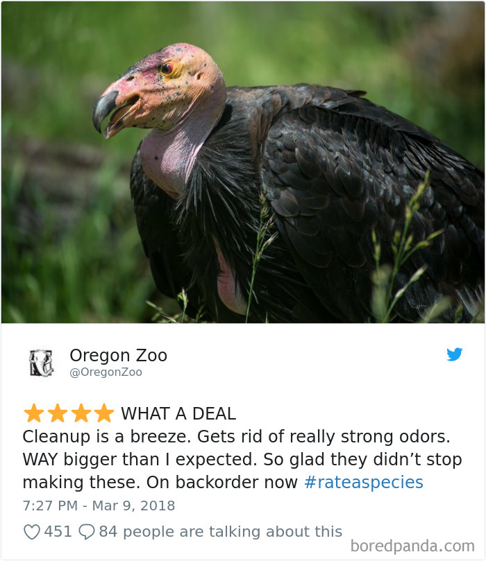 Amazon Animal Review