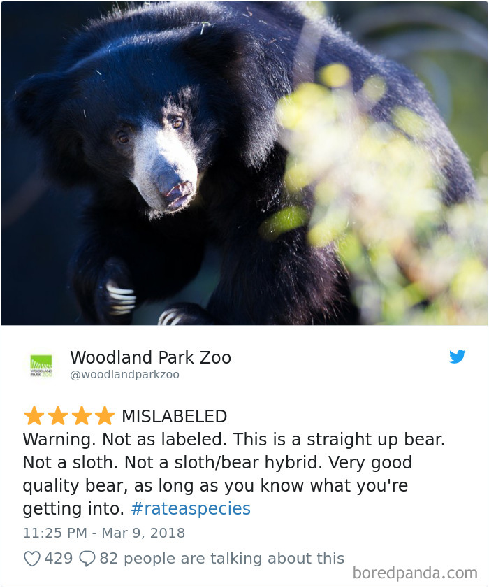 Zoos Are Posting Hilarious Amazon-Like Reviews Of Their Animals, And We  Can't Get Enough | Bored Panda