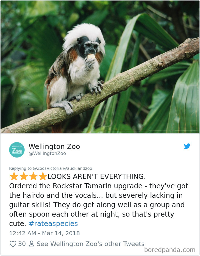 Zoos Post Animal Reviews On Twitter And They Are Hilarious
