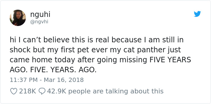 The Way This Cat Returns Home After Going Missing For 5 Years Is More Unbelievable Than This Fact Itself
