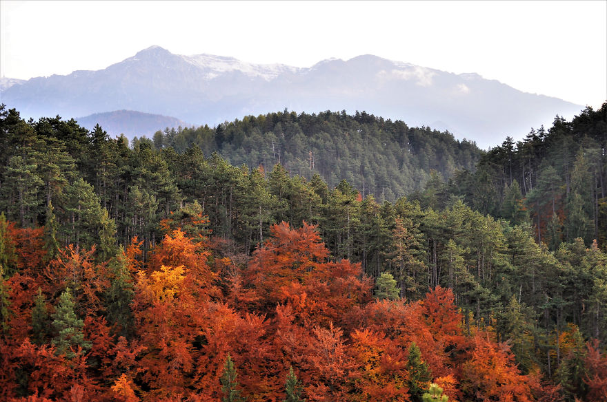 Autumn In Transylvania