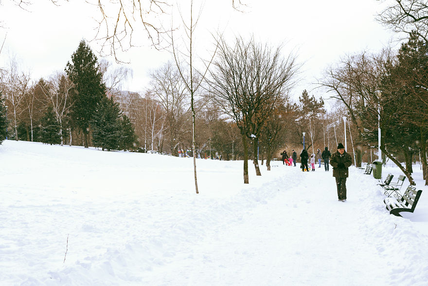The Parks Were Full Of Life As Many People Enjoyed The Snow