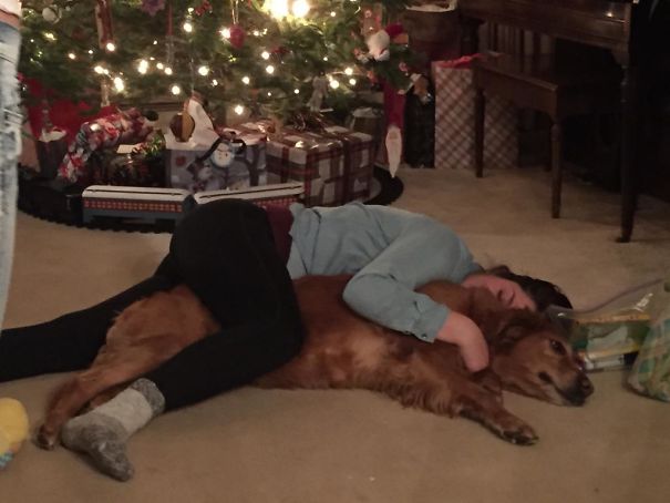 My Oldest Daughter And Golden Sharing A Drink From The Bird Bath. 16yrs Later Napping After Christmas Dinner Together.