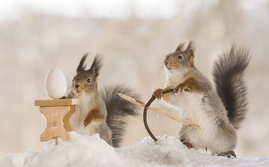 Wild Squirrels Celebrate Easter