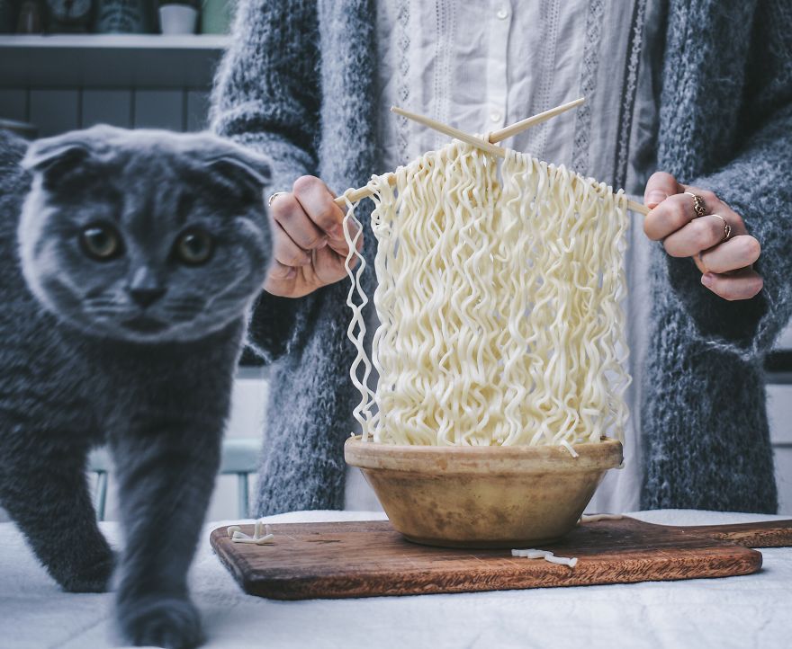 How To Get A Cat To Pose In Front Of The Camera: Start Knitting