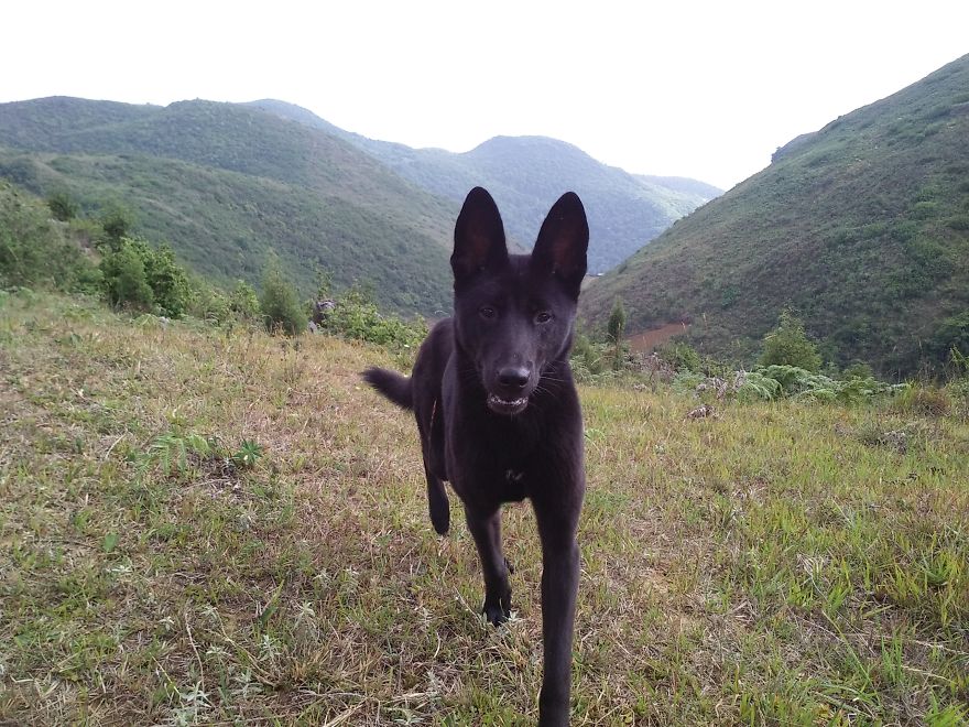 I Have Spent 4 Years Traveling With My Dog I Have Spent 4 Years Traveling With My Dog