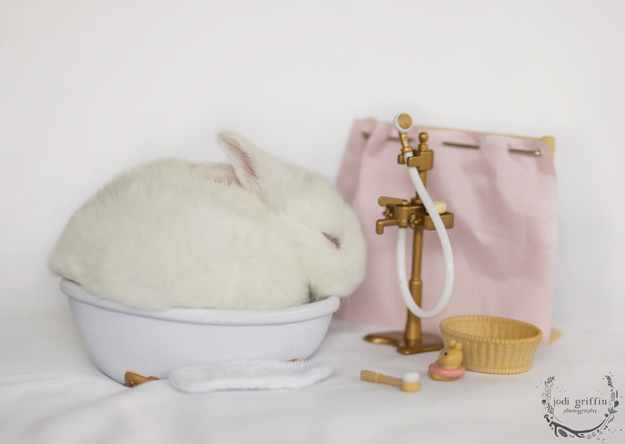 When A Bunny Has Babies