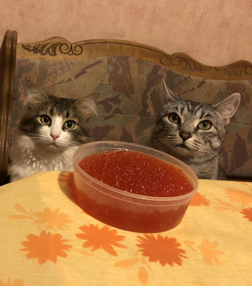 Zosia And Tutsis